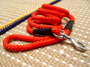 Nylon rope clearance dog collar